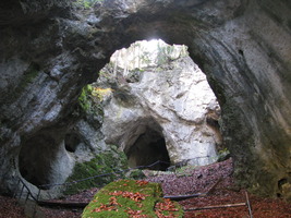 Nr. 61: Höhlenruine Riesenburg